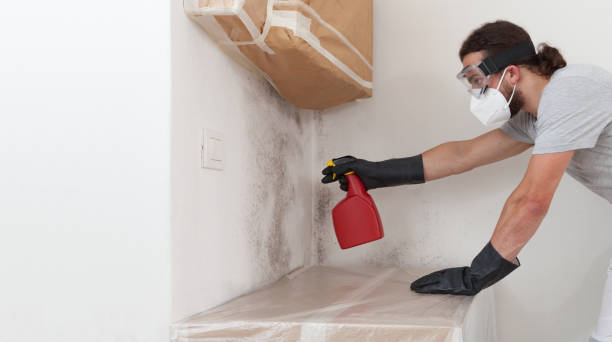Professional Bathroom Mold Removal technician working in Nokomis, FL